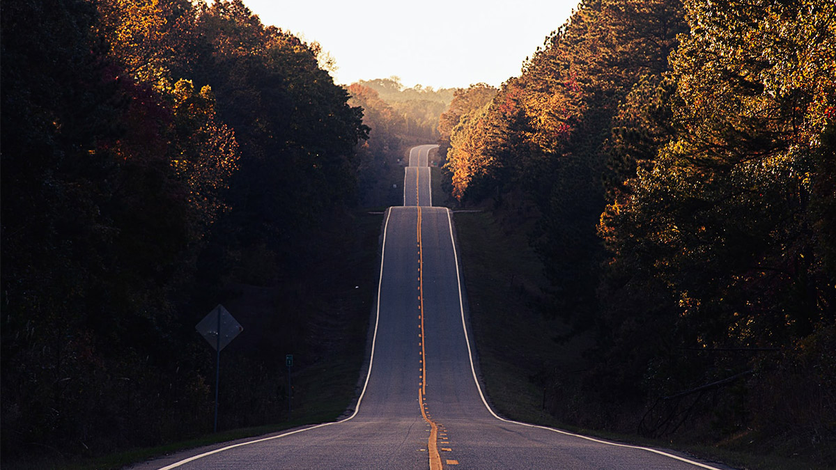 永久駐車観察記