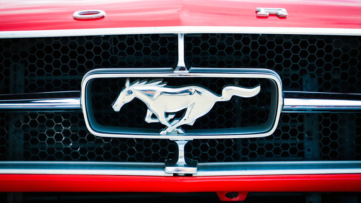 永久駐車観察記