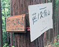 チクマ山南西尾根、チクマ山東尾根、荏ノ久保山東尾根