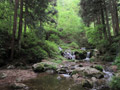 払沢ノ峰北尾根