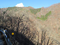 雁掛ノ峰南東尾根、新蔵指沢右岸尾根、真名井北稜