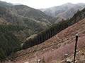 刈寄山南尾根、刈寄山北西尾根