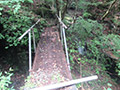 小焼山北尾根、（三頭沢遊歩道）