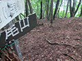 黒山南東尾根、仙岳尾根