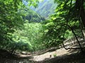 大寺山、鹿倉山、鞠子橋