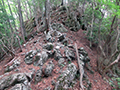 滝子山東稜