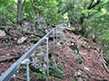 ウトウ沢右岸尾根、焼小屋尾根